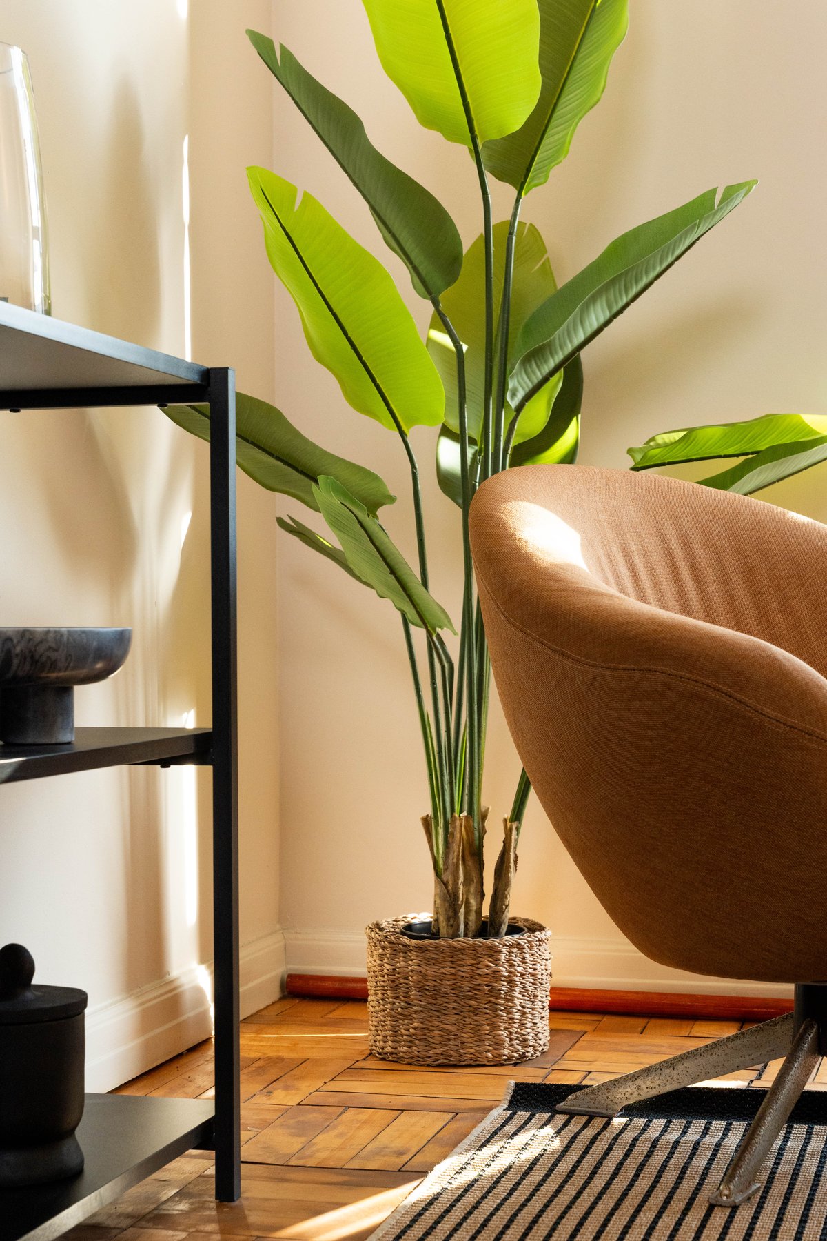 Frame Lounge Chair