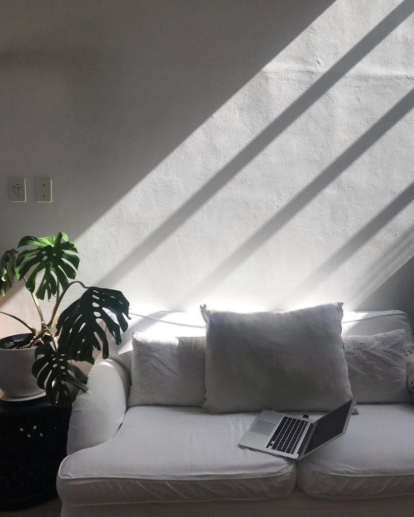 Sunlight across a white sofa and monstera